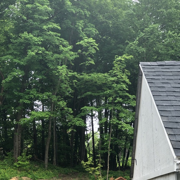 Meet your Posher, Jasmine - Picture 1 of 1